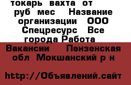 токарь. вахта. от 50 000 руб./мес. › Название организации ­ ООО Спецресурс - Все города Работа » Вакансии   . Пензенская обл.,Мокшанский р-н